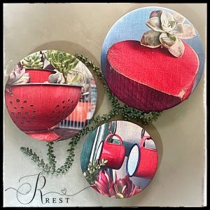 Red Salad Bowl Covers